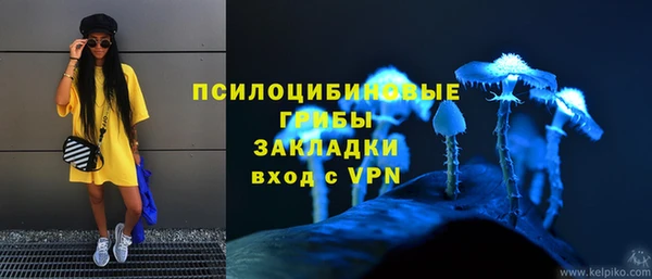 ПСИЛОЦИБИНОВЫЕ ГРИБЫ Алексин