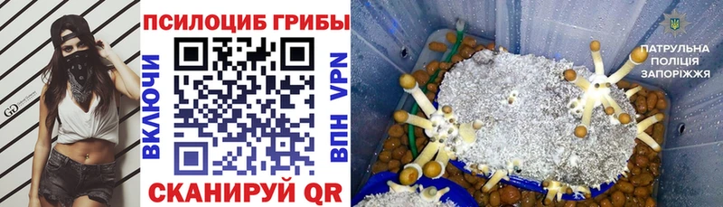 купить  сайты  нарко площадка клад  Псилоцибиновые грибы Magic Shrooms  Лянтор 