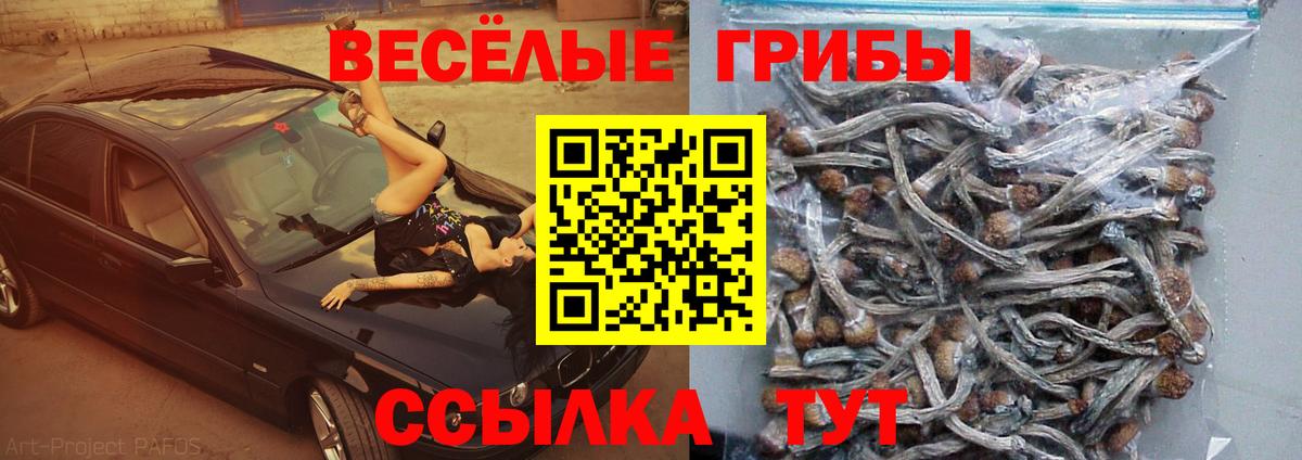 Лянтор  Галлюциногенные грибы ЛСД  Вход с VPN 
