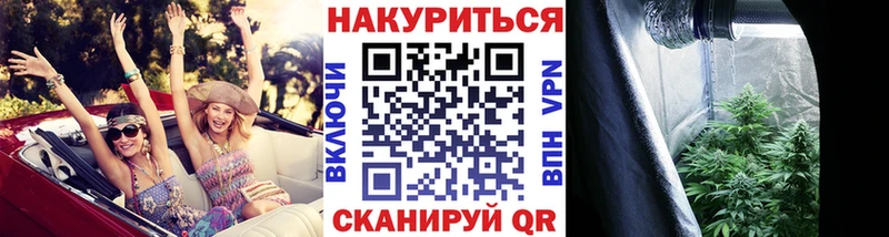 Марихуана план купить Лянтор